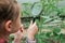 rear view of Curious child girl in greenhouse using a magnifying glass to look through,