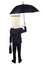 Rear view of entrepreneur with umbrella