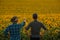 Rear view, farmers standing in a sunflowers field looking and pointing away,