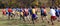 Rear view of a group of cross country runners during a race