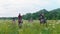 Rear view group of equestrian on horseback walking through the meadow with flowers
