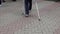 Rear view of the legs of an elderly man walking step by step along the sidewalk in a city park. The concept of physical