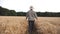 Rear view of male farmer going through the barley field and touching with hands golden ears of crop. Young agronomist