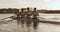 Rear view of male rower team rowing on the lake