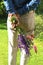 Rear view of a man, holding a bunch of flowers behind his back