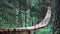 Rear view of a man standing on a hanging wooden bridge in the green summer forest. Stock footage. Man hiker walking in