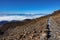 Rear view of many tourists trekking in teide track