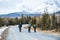 Rear view of mountain bikers riding on road in mountains outdoors in winter.