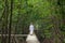 Rear view of old muslim man in traditional clothing walking through mangrove forest to islamic mosque. Peaceful place in the holy