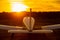 Rear view of a parked small plane on a sunset background. Silhouette of a private airplane landed at dusk.