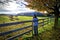 Rear view of a photographer taking photos of the horses quietly grazing in a farm in autumn