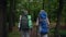 Rear view of a pleasant aged couple walking in the forest