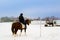 Rear view of rider on chestnut horses walking on a snow-covered road field