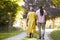 Rear View Of Senior Couple Walking Pet Bulldog In Countryside