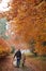 Rear View Of Senior Couple Walking With Pet Golden Retriever Dog Along Autumn Woodland Path