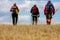 Rear view shot of young friends in countryside during summer holiday hiking. Group of hikers walking in the nature.