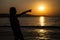 Rear view of a silhouette of a girl, enjoying and looking towards the sunset or sunrise and a flock of summer birds on the beach