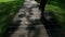 Rear view slow motion, Women leg with swaying dress walking on wooden pathway with light and shadow