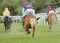 Rear view of three racing ponys