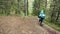 Rear view of traveler walking down forest path. Stock footage. Traveler with backpack and in raincoat goes on bumpy path