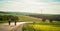 Rear view of two cyclists riding down the country road through mountains. Casual men having fun cycling down the empty road