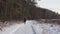 Rear view of walking man in winter woods. Single hiking at the edge of forest