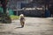 Rear view of a way white dog puppy alone on the road. lonely concept. wildlife concept.