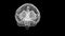 Rear view of white translucent brain hologram on black background.