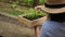 Rear view woman farmer in straw hat, checks germinated seedling for disease. Gardening. Agriculture. Eco farming