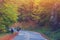 Rear view of young couple walking on road through woods with backpacks. Man and woman hiking in forest. Active adventure