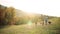 A rear view of young family with two small children and a dog on a walk in autumn nature.