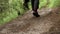 Rear view of young man walking on the trail path in summer green forest. Stock footage. Male traveler exploring