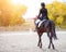 Rear view of young rider woman on bay horse