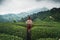 Rear view of young woman with wicker basket wearing traditional harvesting clothes between rows of Turkish black tea plantations