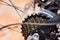 Rear wheel and chain in a mountain bike - The back disc brake bike , bicycle gears