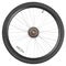 Rear wheel for mountain bike