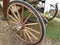 Rear wheels of old-fashioned horse carriage on green grass