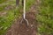 Rearer weeding garden bed at farm