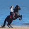 Rearing Andalusian black stallion and young woman on beach.