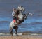 Rearing Andalusian dapple gray stallion and woman on beach