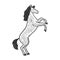 rearing horse sketch raster illustration
