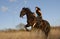 Rearing stallion and girl