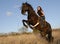 Rearing stallion and girl