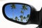 Rearview car driving mirror tropical palm trees