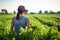 rearview of a young female farmer tending to her crops