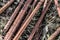 Rebar old rusty twig set close-up building material