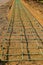 Rebar in place on a sidewalk construction project