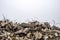 The rebar sticking up from piles of brick rubble, stone and concrete rubble against the sky in a haze