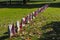 Rebel Flags Honor Graves of Unknown Civil War Soldiers