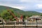 Rebuilding wood piers at Lake George Village, New York, Summer, 2013